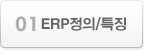 1 ERP정의,특징