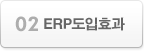 2 ERP도입효과