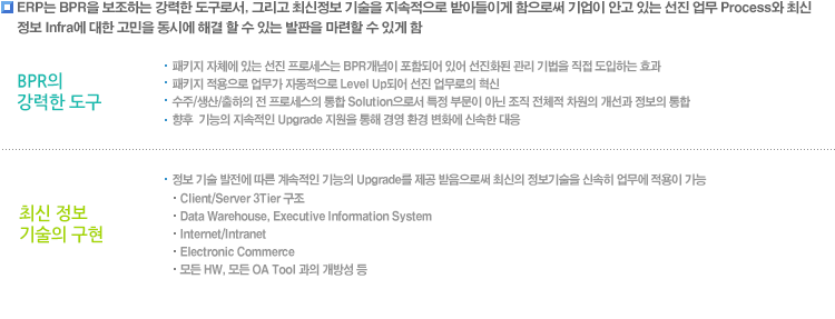 ERP도입효과