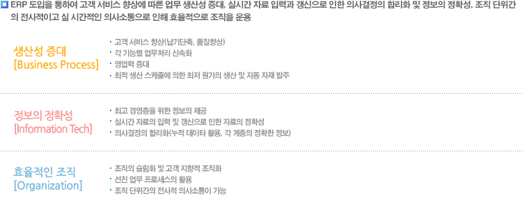 ERP도입효과