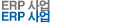 ERP사업